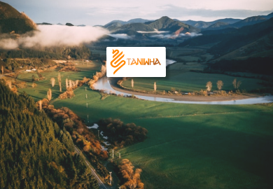 Taniwha Guiding Services project preview